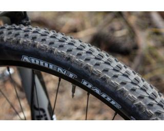 Maxxis Ardent Race EXO 3C MaxxSpeed Tubeless Ready